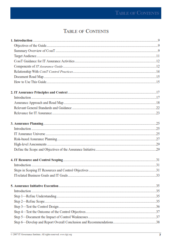 IT Assurance Guide Using COBIT preview page 1
