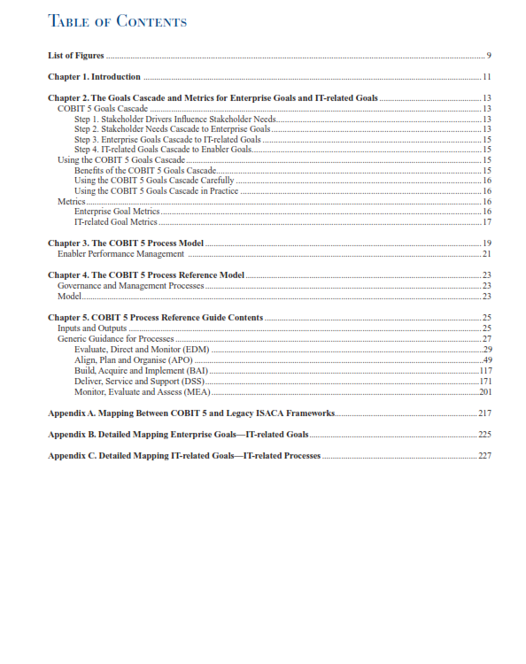COBIT 5 - Enabling Processes preview page 1