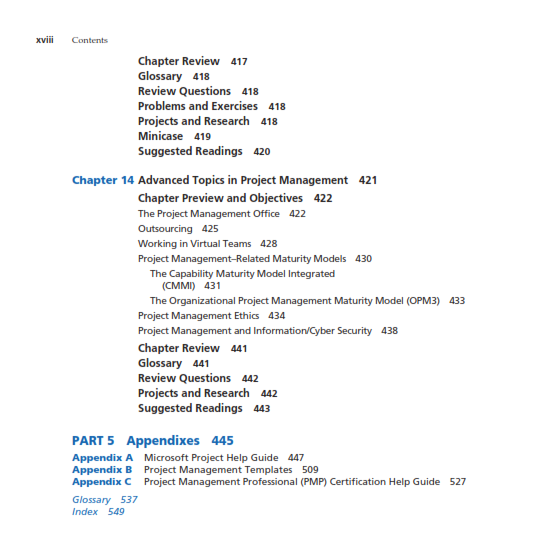 Methods of IT Project Management preview page 10